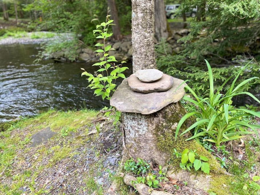 Peaceful Gateway To Island Creek Cottage East Stroudsburg Buitenkant foto